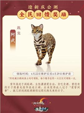 天龙八部私服的运营